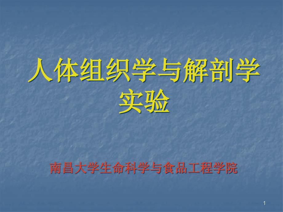 内分泌系统实验课件_第1页