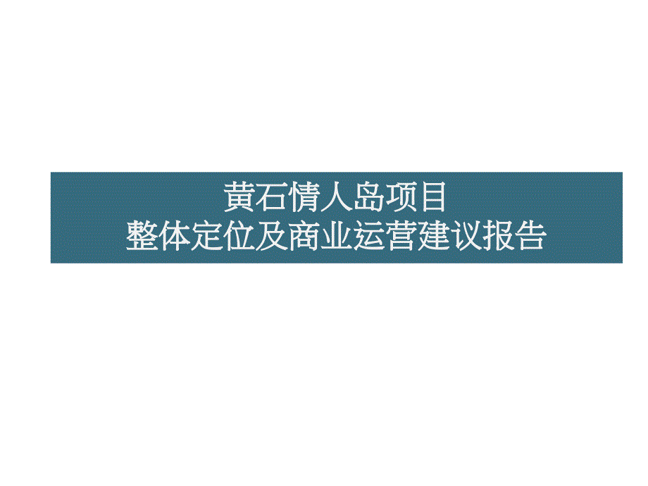 某项目整体定位及商业运营建议报告cnky_第1页