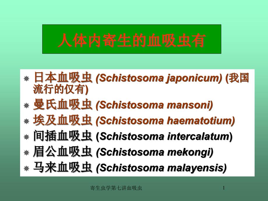 寄生虫学第七讲血吸虫课件_第1页