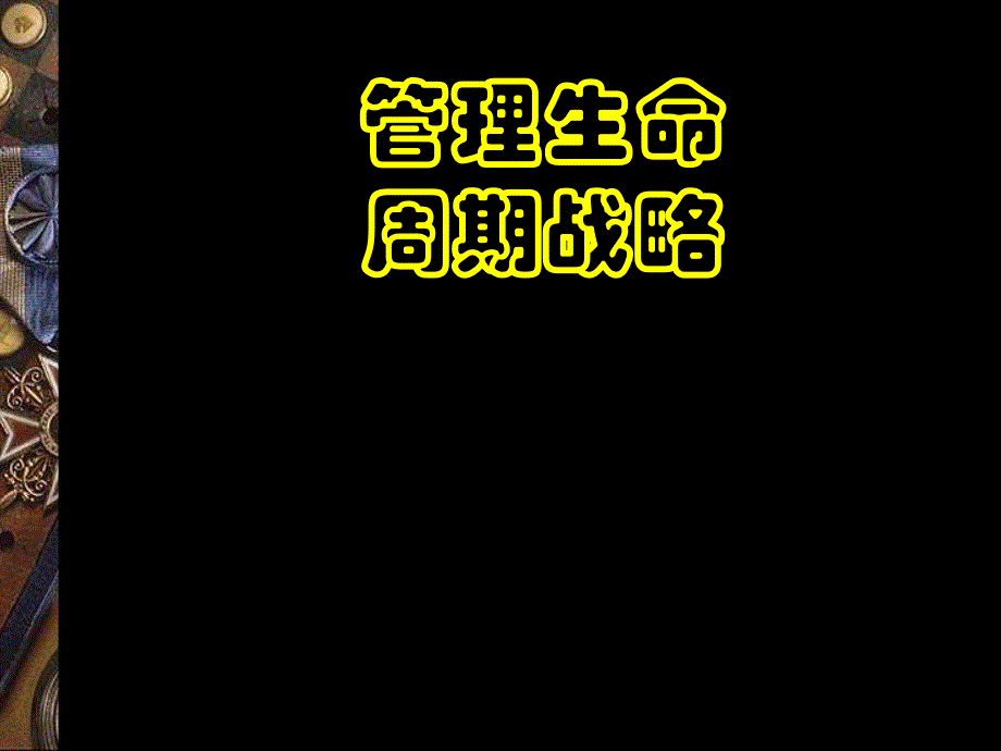 管理生命周期战略 bpby_第1页