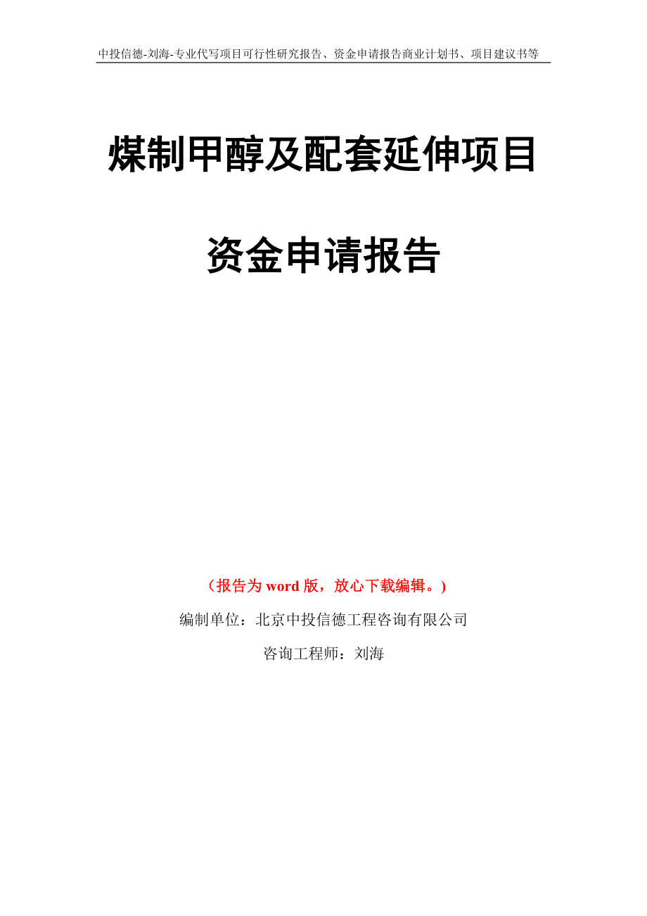 煤制甲醇及配套延伸项目资金申请报告模板_第1页