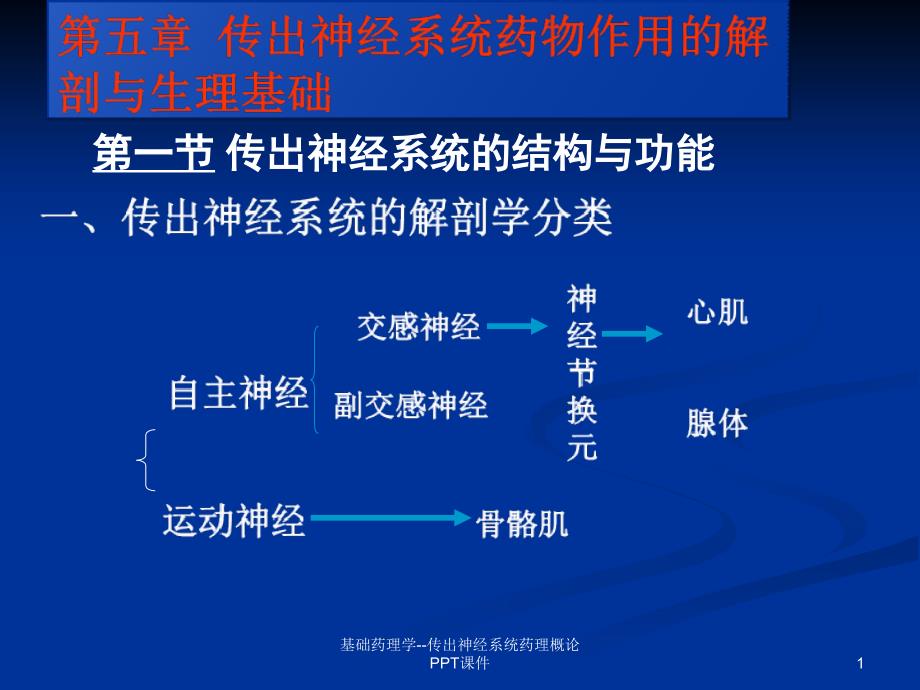 基础药理学传出神经系统药理概论-课件_第1页