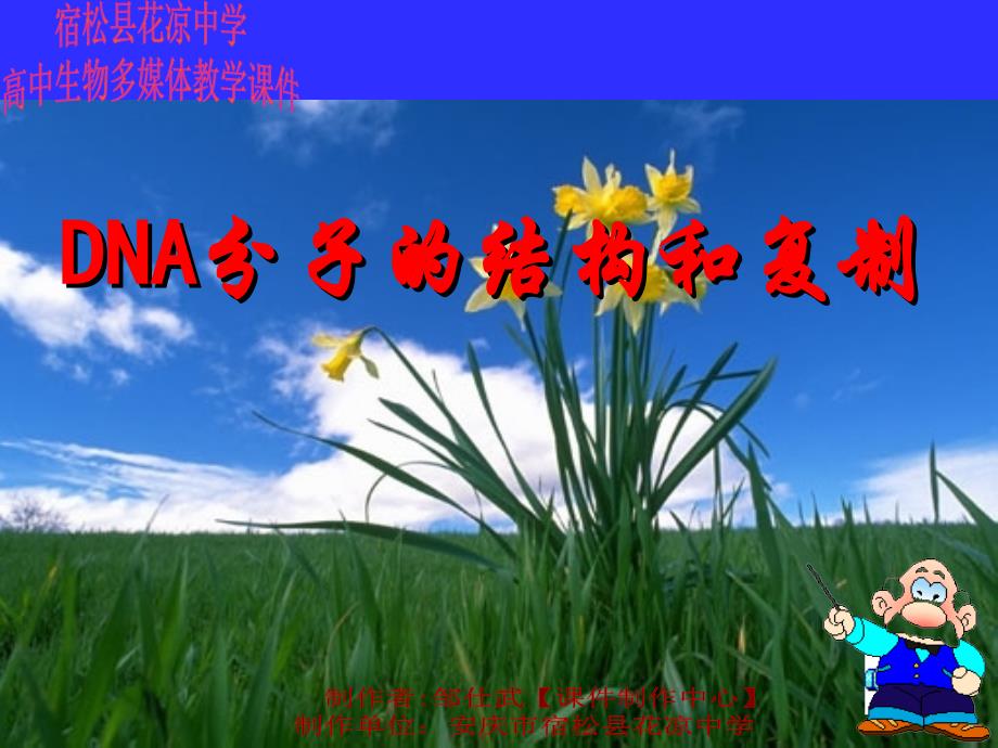 DNA分子的结构和复制_孙健_第1页