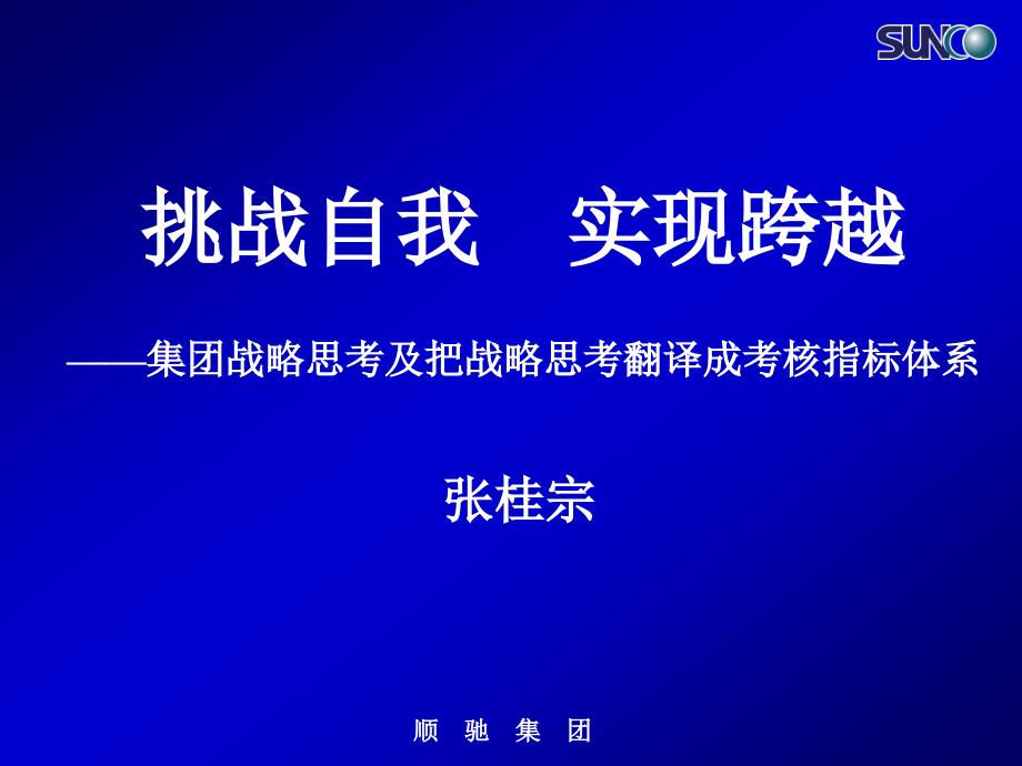 某集团战略思考及其考核指标体系ckns_第1页