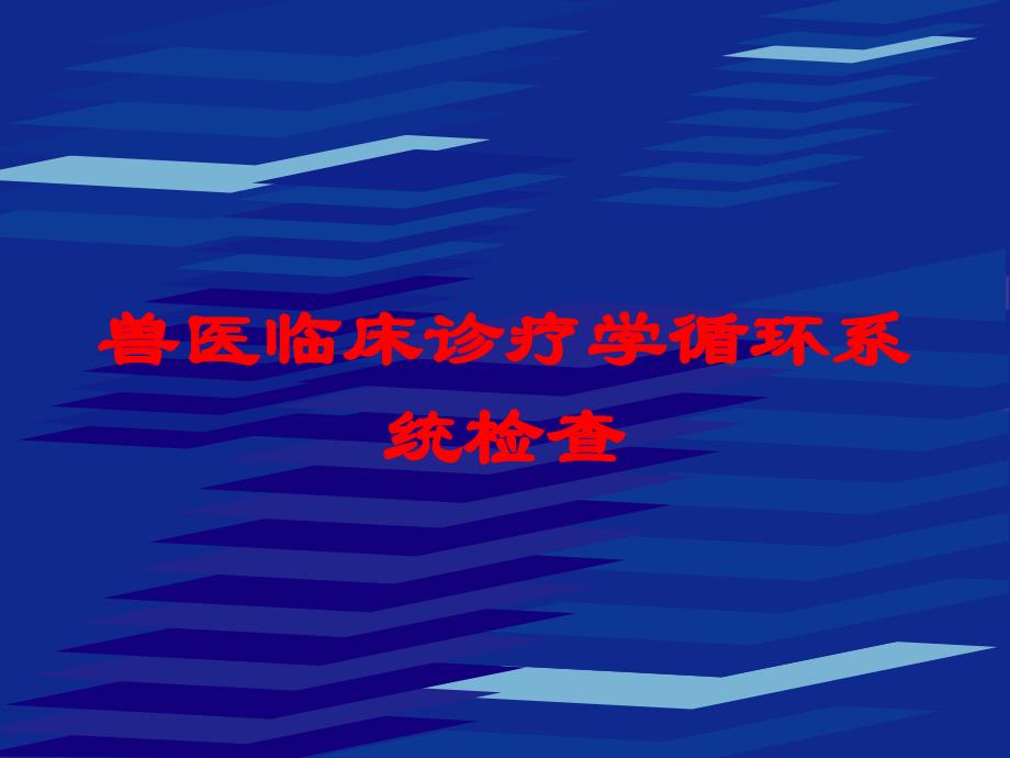 兽医临床诊疗学循环系统检查培训课件_第1页