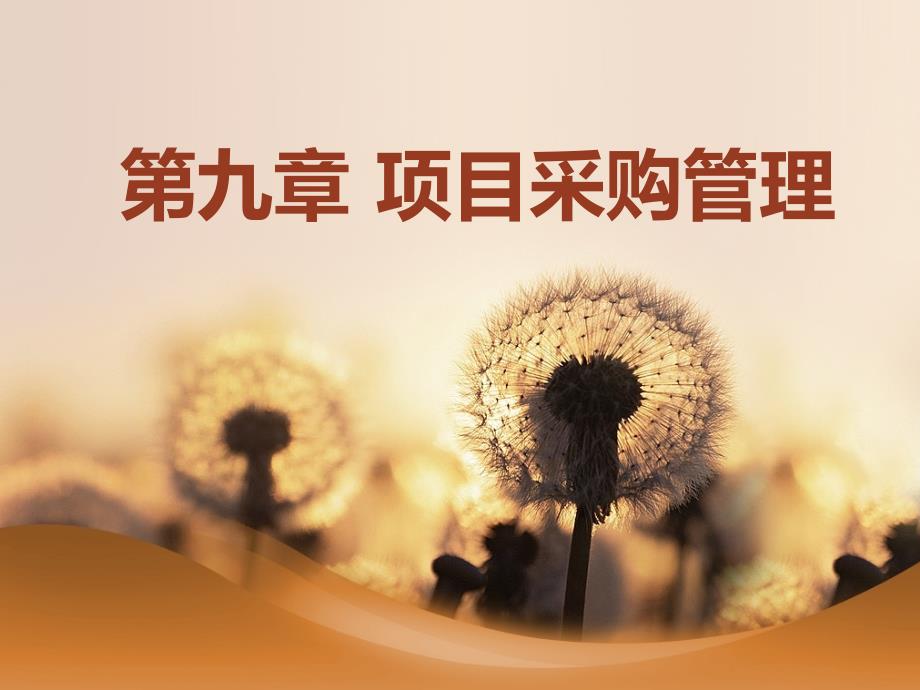 项目采购管理课件(PPT 43页)ecjh_第1页