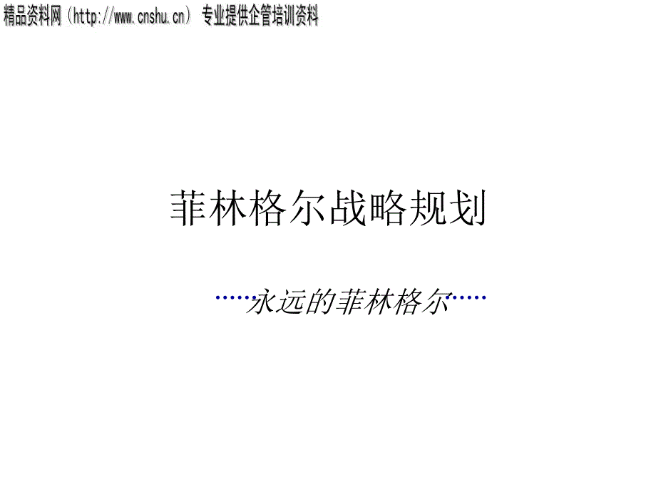 菲林格尔战略规划bjtu_第1页