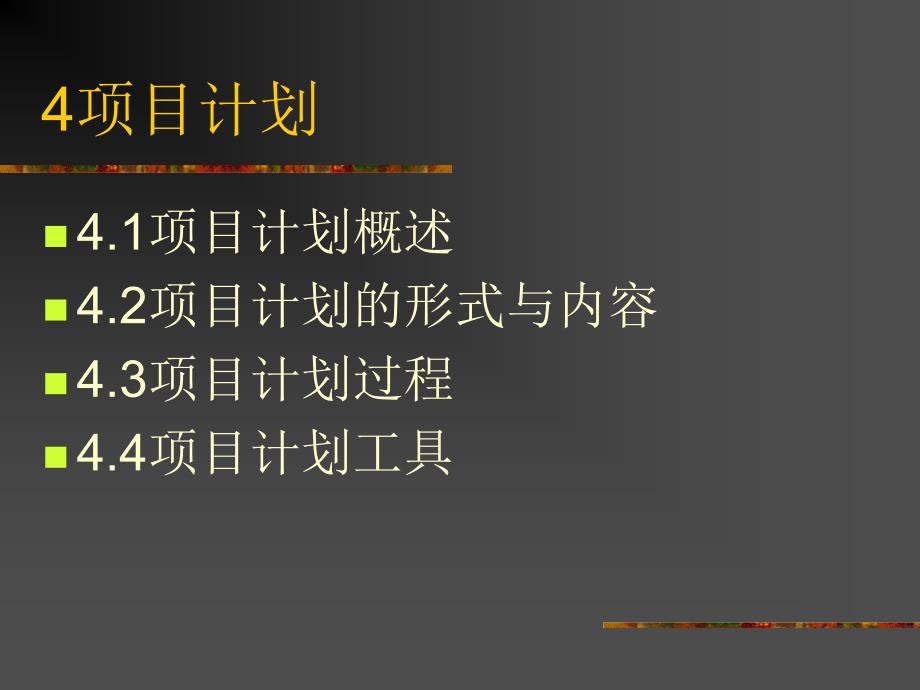 项目计划的基本形式ednz_第1页