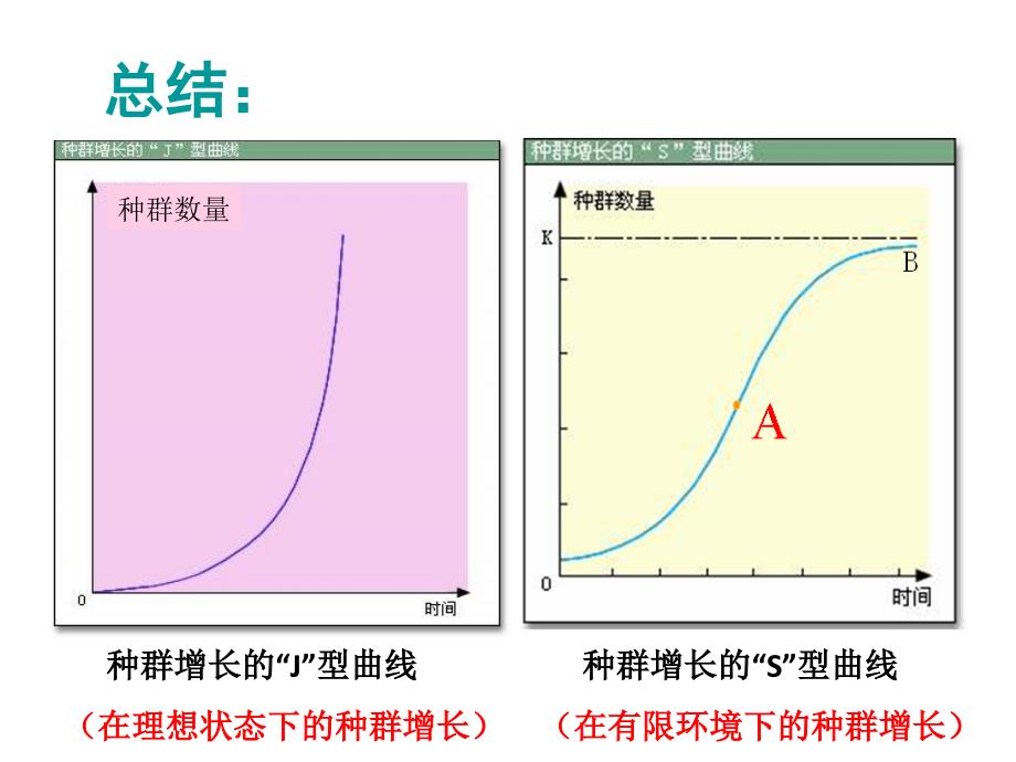 探究：酵母菌种群数量的变化_第1页