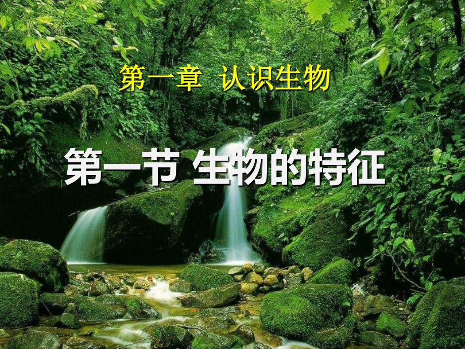 新人教版七年级上册生物-生物的特征-课件_第1页