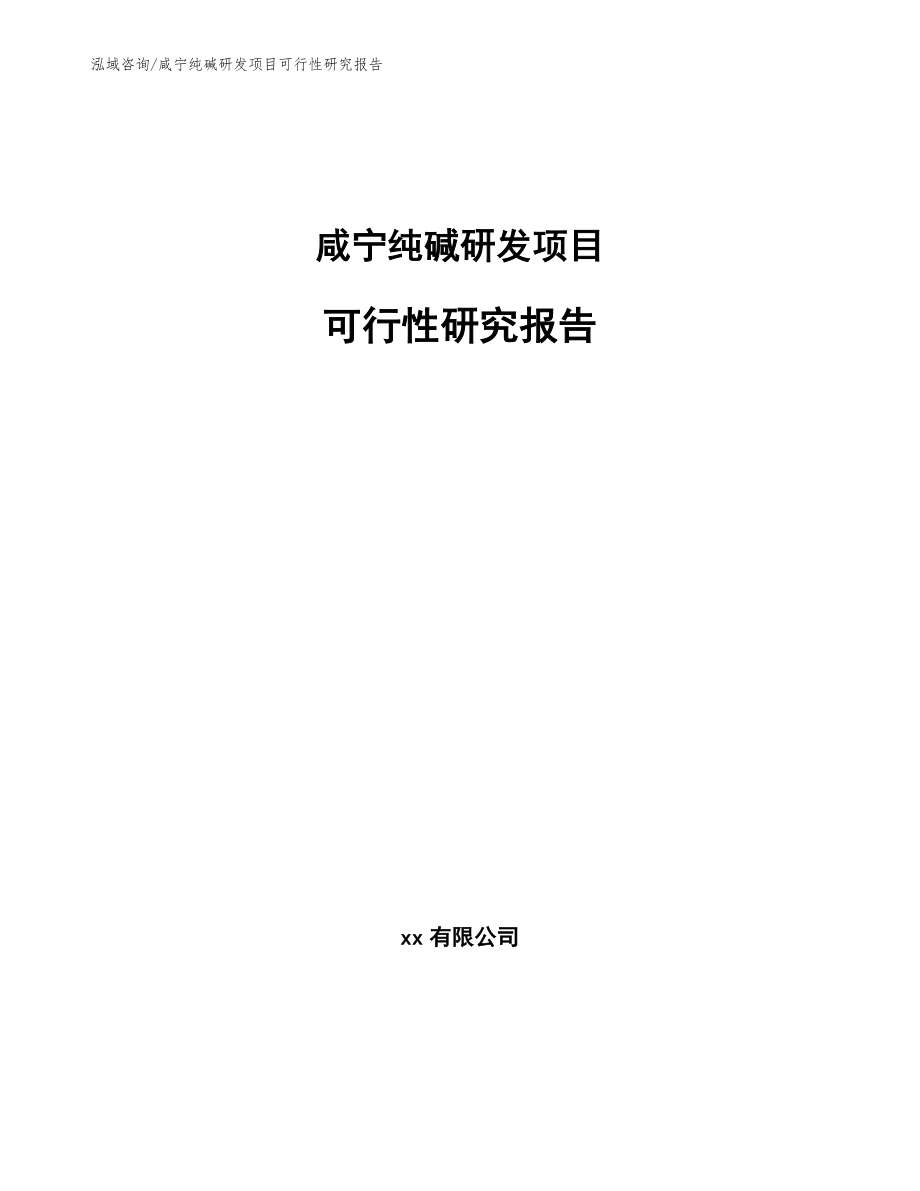 咸宁纯碱研发项目可行性研究报告_第1页