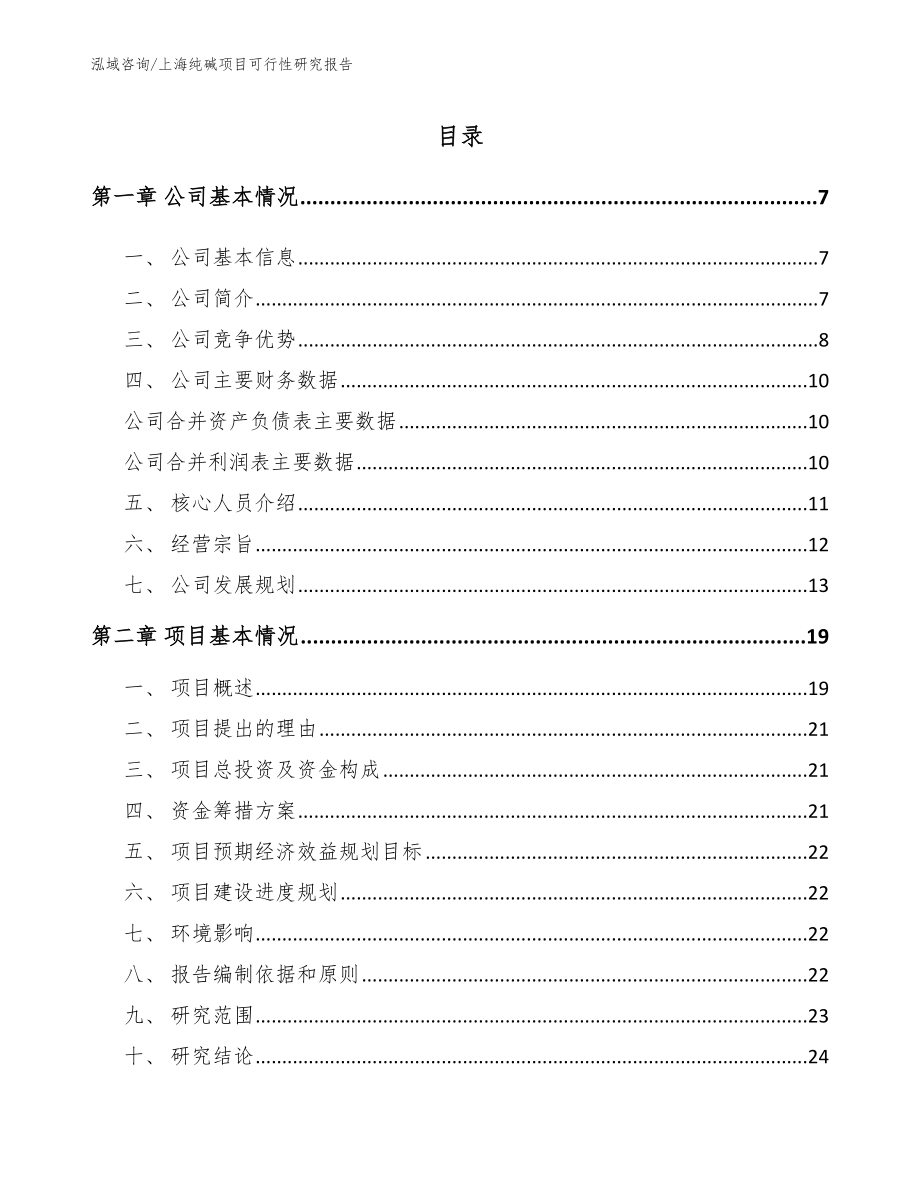 上海纯碱项目可行性研究报告_范文_第1页