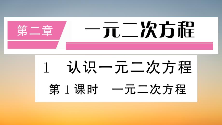 作业课件【数学九年级上册】 第1课时 一元二次方程_第1页