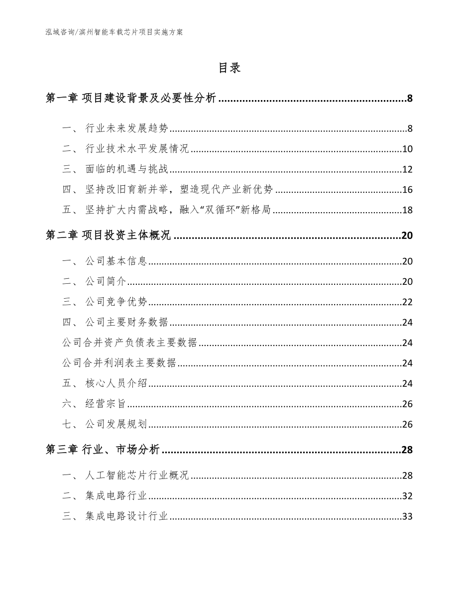 滨州智能车载芯片项目实施方案（范文模板）_第1页