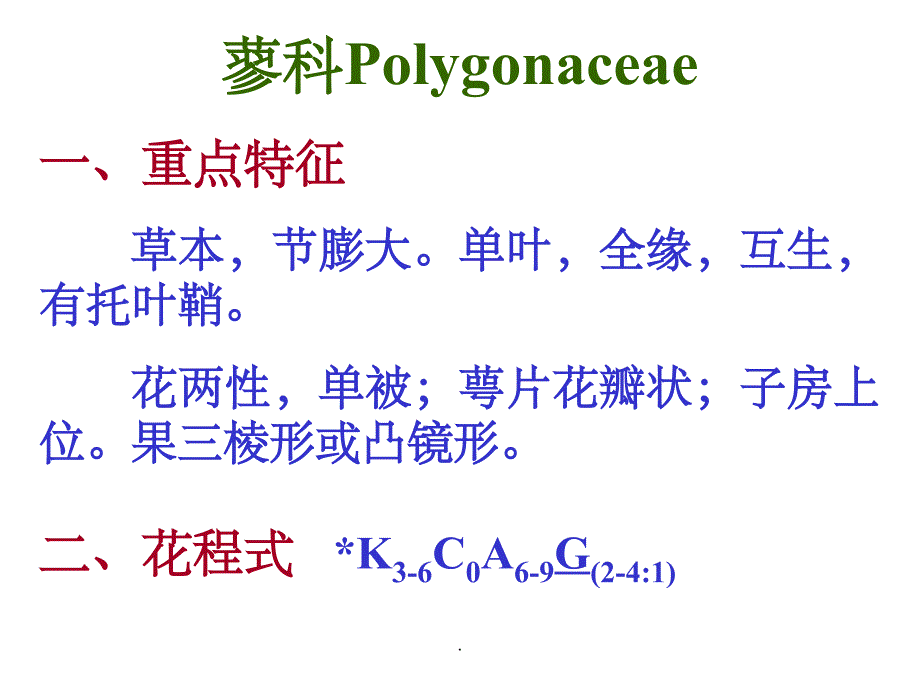 植物学蓼科课件_第1页