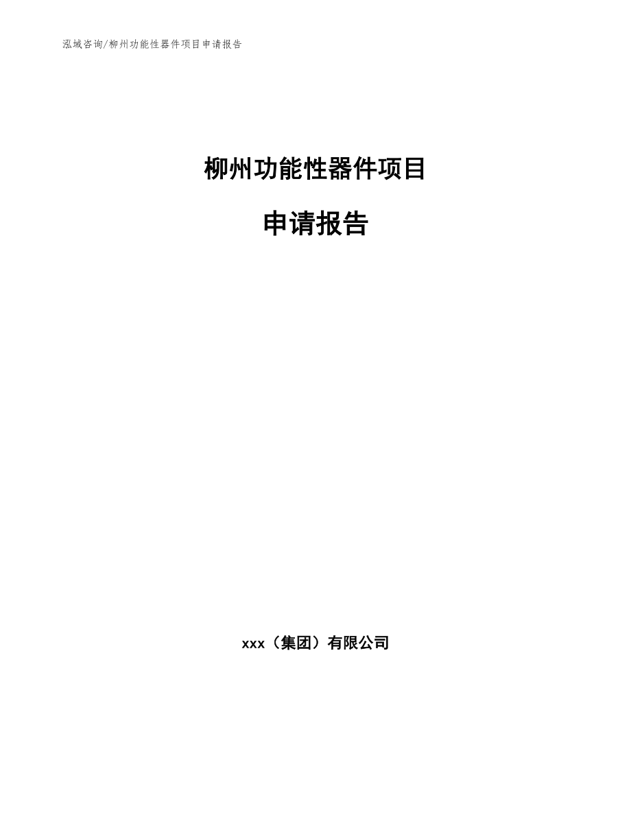柳州功能性器件项目申请报告_模板_第1页