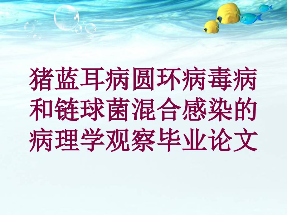 猪蓝耳病圆环病毒病和链球菌混合感染的病理学观察毕业论文培训课件_第1页