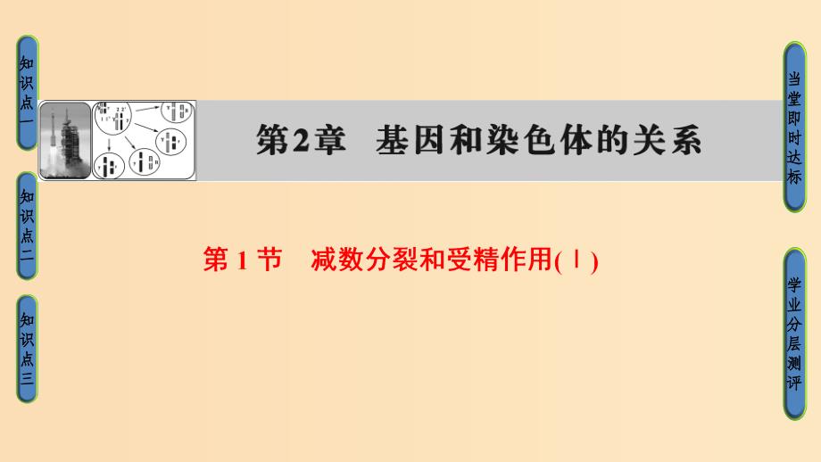 201x版高中生物第二章基因和染色体的关系第1节减数分裂和受精作用Ⅰ新人教版必修2-课件_第1页