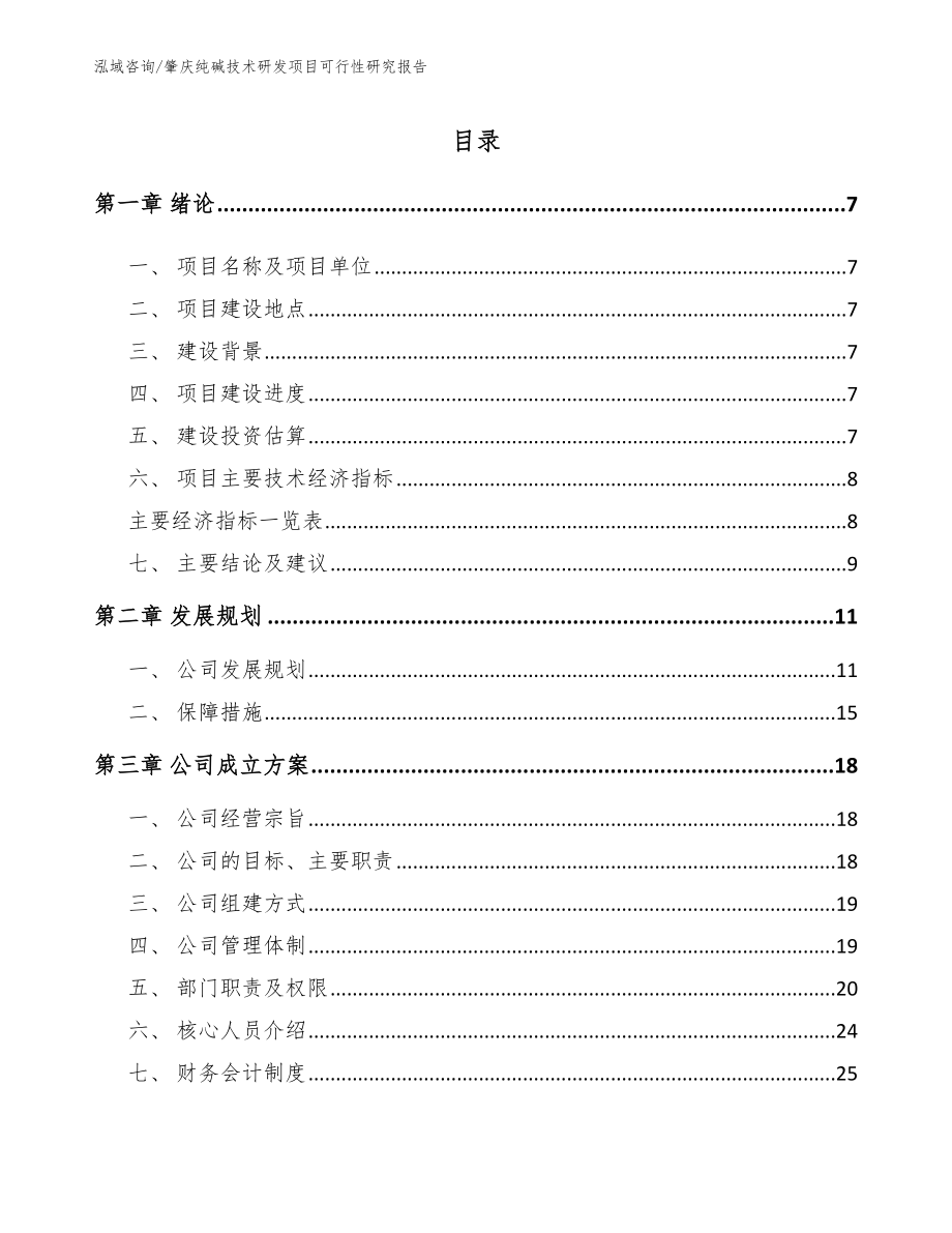 肇庆纯碱技术研发项目可行性研究报告【范文】_第1页