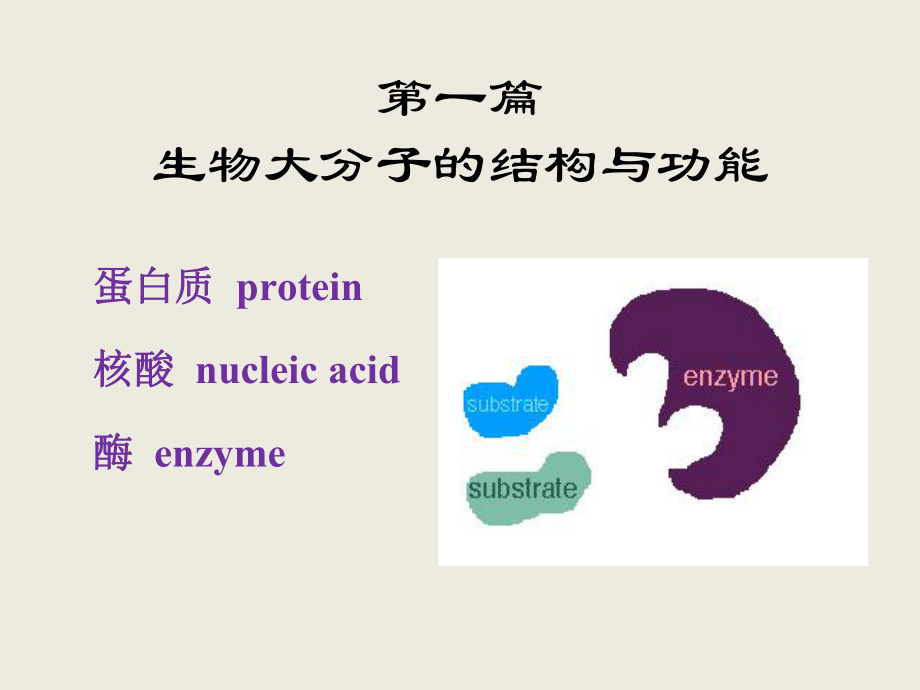 生物化学：第一章 蛋白质的结构与功能_第1页