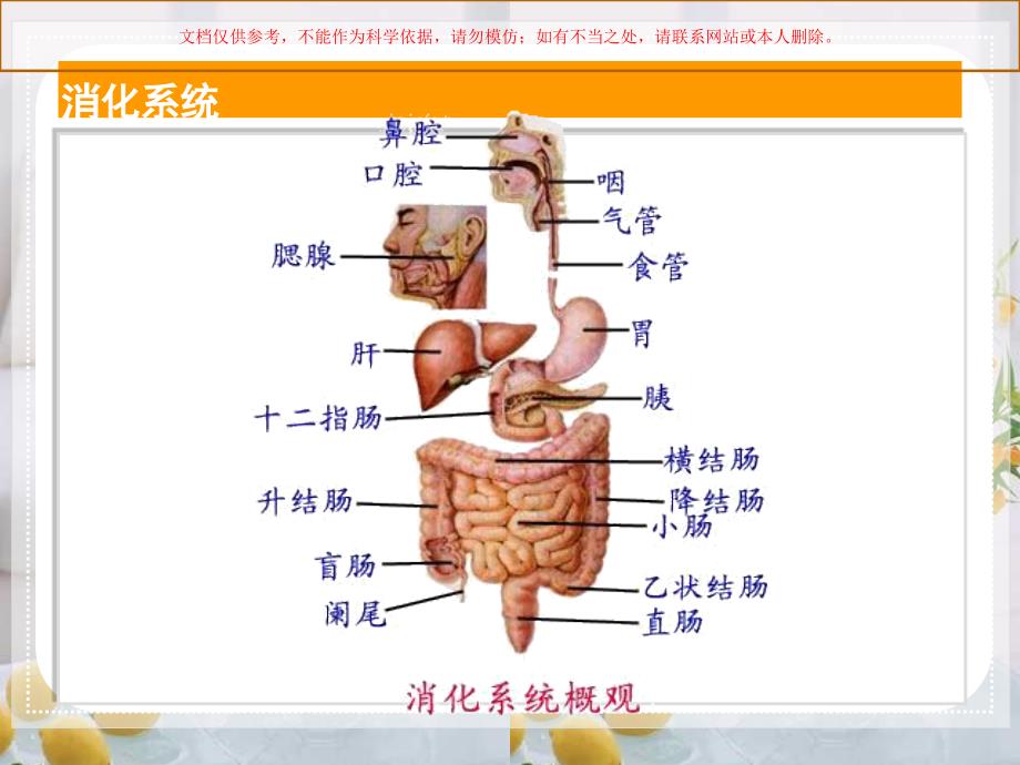 人体的消化和吸收课件_第1页