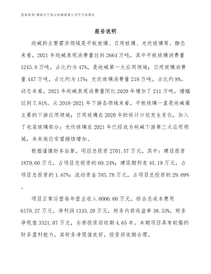 湖南关于成立纯碱销售公司可行性报告（范文模板）
