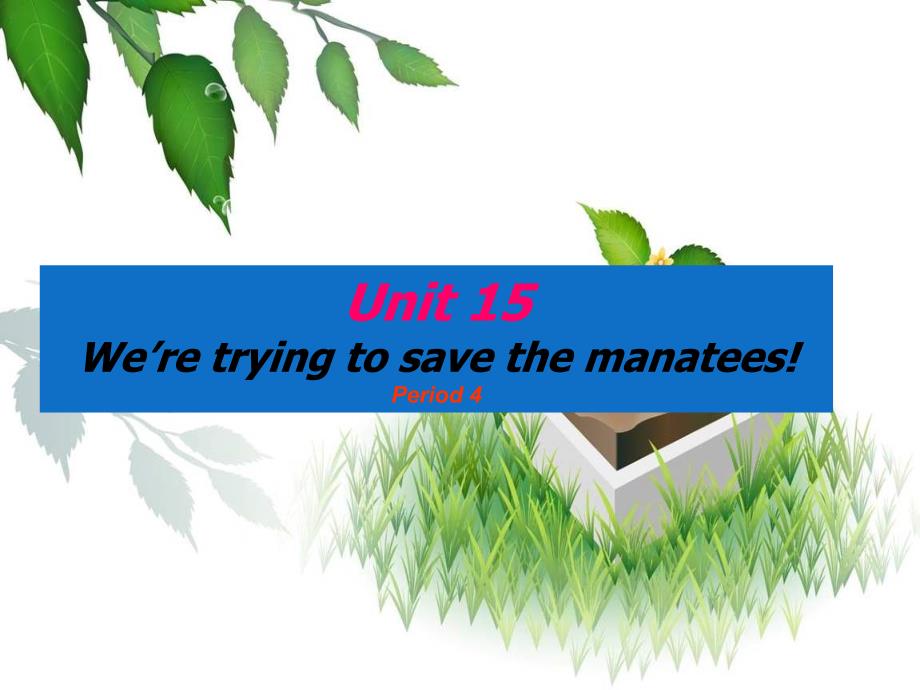 九年级英语全册《Unit 15 We’re trying to save the manatees Period 4》课件 人教新目标版_第1页