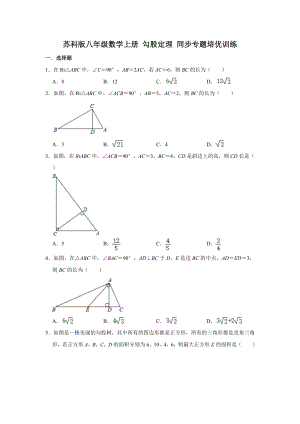 蘇科版八年級數(shù)學(xué)上冊 勾股定理 同步專題培優(yōu)訓(xùn)練【含答案】