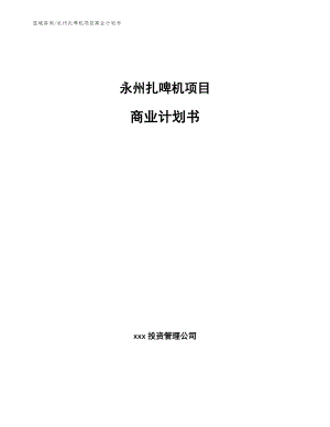 永州扎啤机项目商业计划书【参考模板】