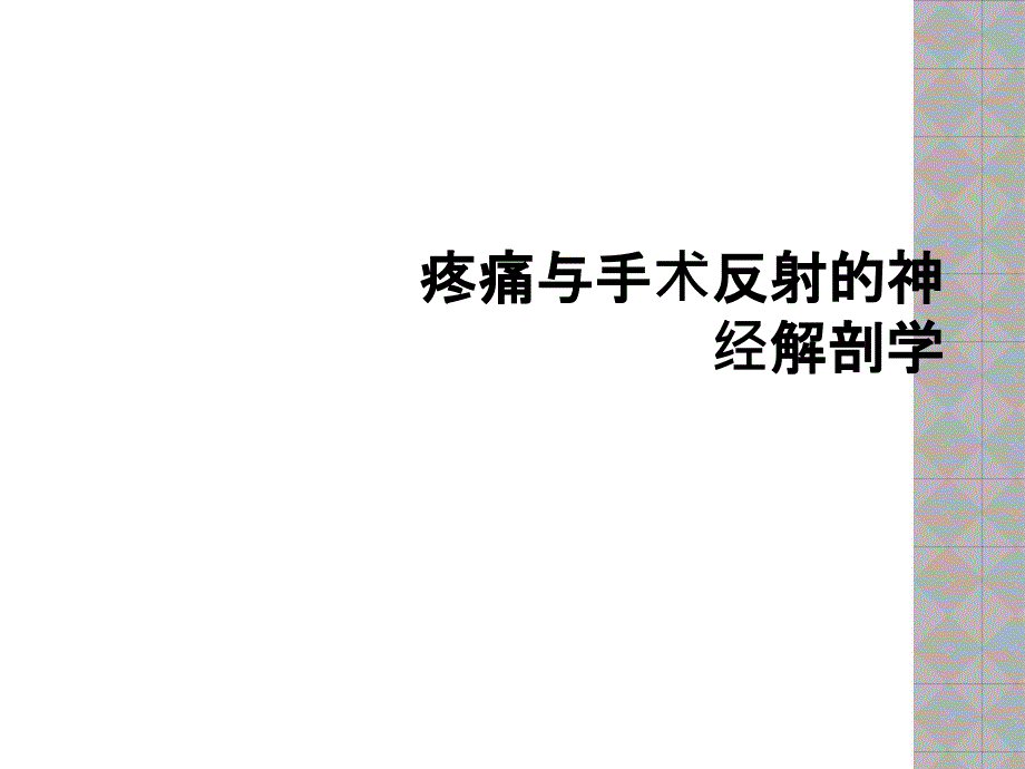 疼痛与手术反射的神经解剖学课件_第1页