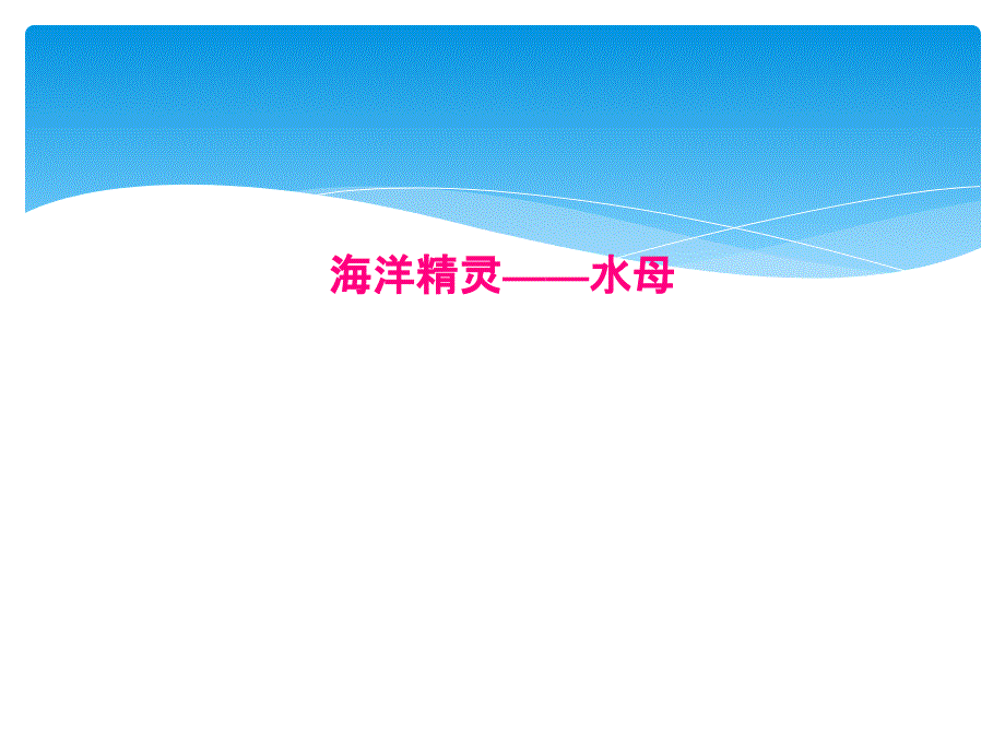 海洋精灵——水母课件_第1页