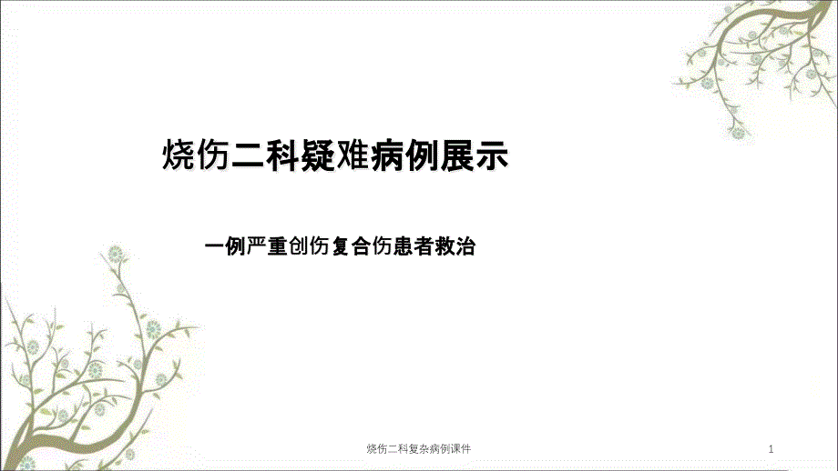 烧伤二科复杂病例课件_第1页