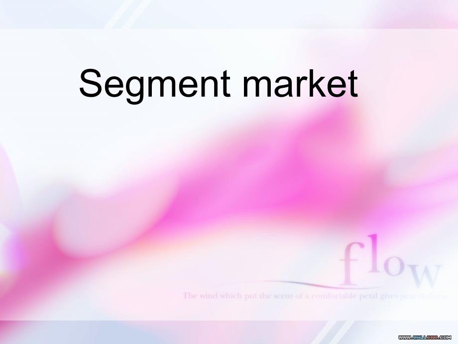 雀巢segment market_第1页