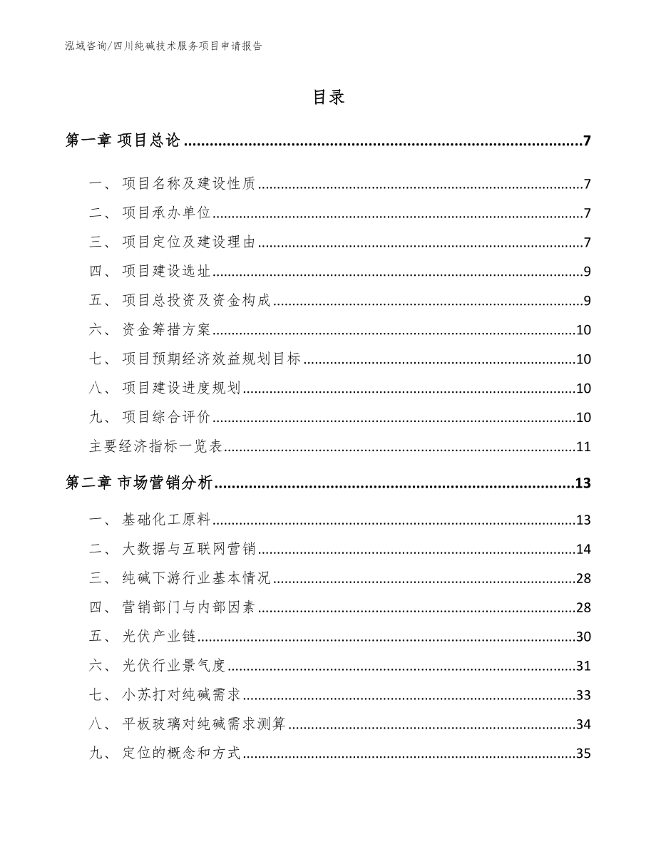 四川纯碱技术服务项目申请报告【模板参考】_第1页