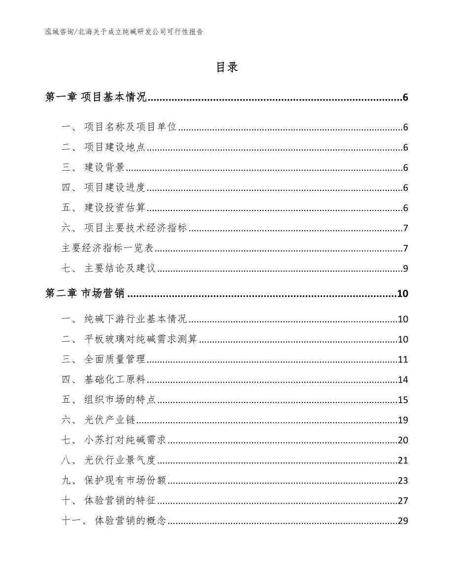 北海关于成立纯碱研发公司可行性报告【范文参考】_第1页