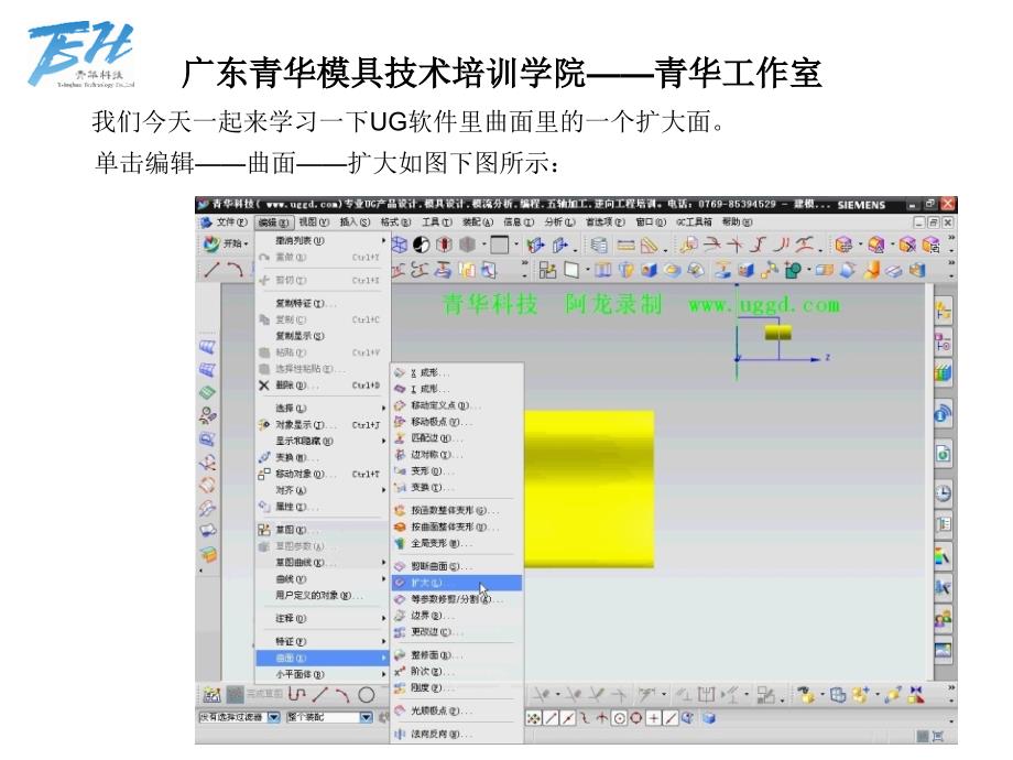 UG里扩大面的用法_第1页