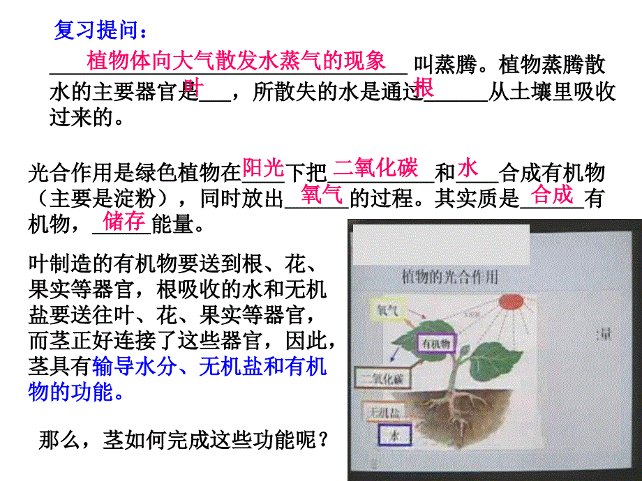 植物体向大气散发水蒸气的现象_第1页