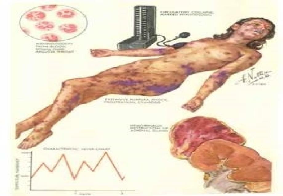 病理生理学知识讲座课件_第1页