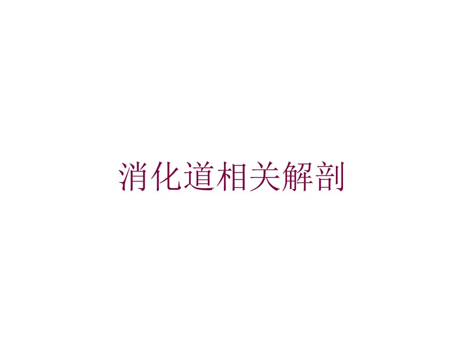 消化道相关解剖培训课件_第1页