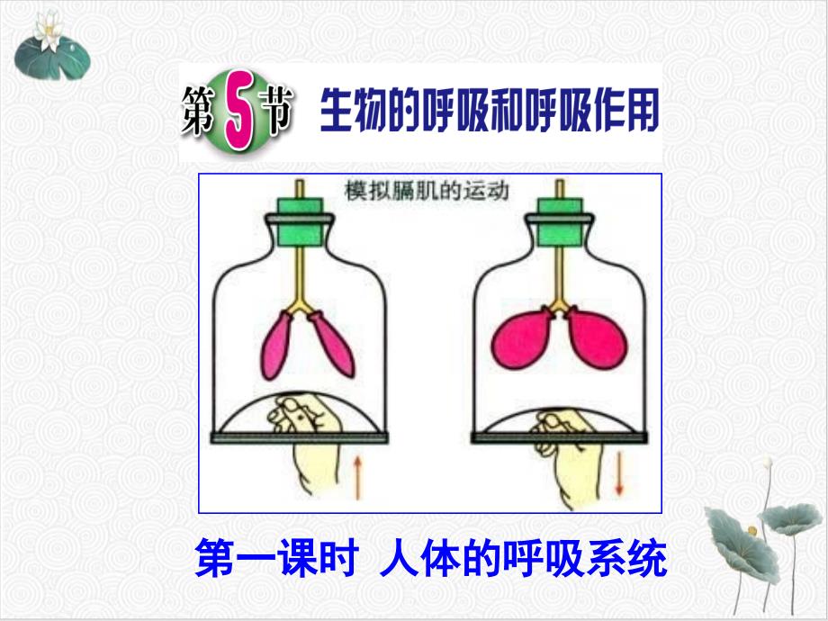 生物的呼吸和呼吸作用浙教版八级科学下册课件_第1页