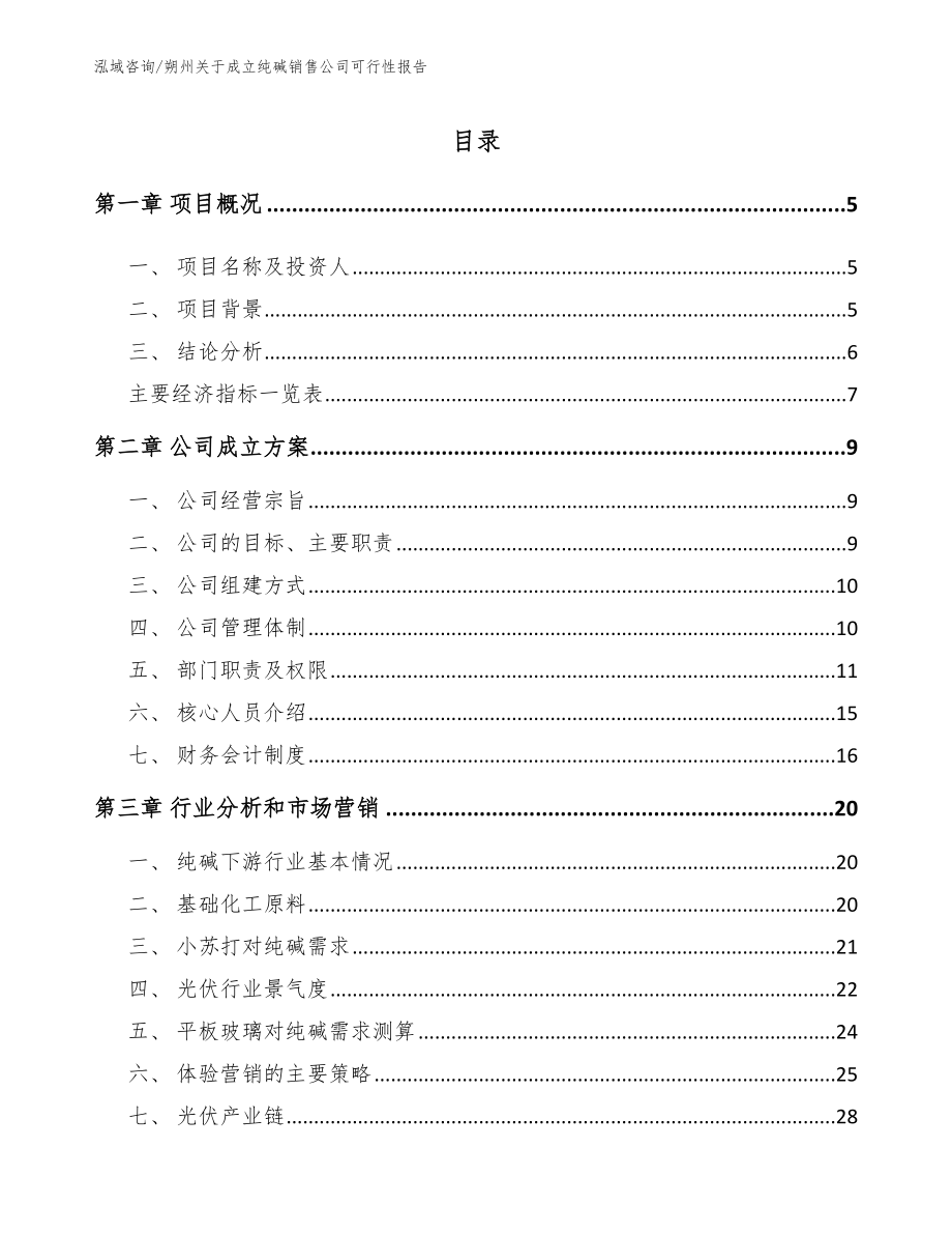 朔州关于成立纯碱销售公司可行性报告_模板参考_第1页