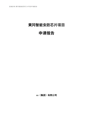 黄冈智能安防芯片项目申请报告_模板范本