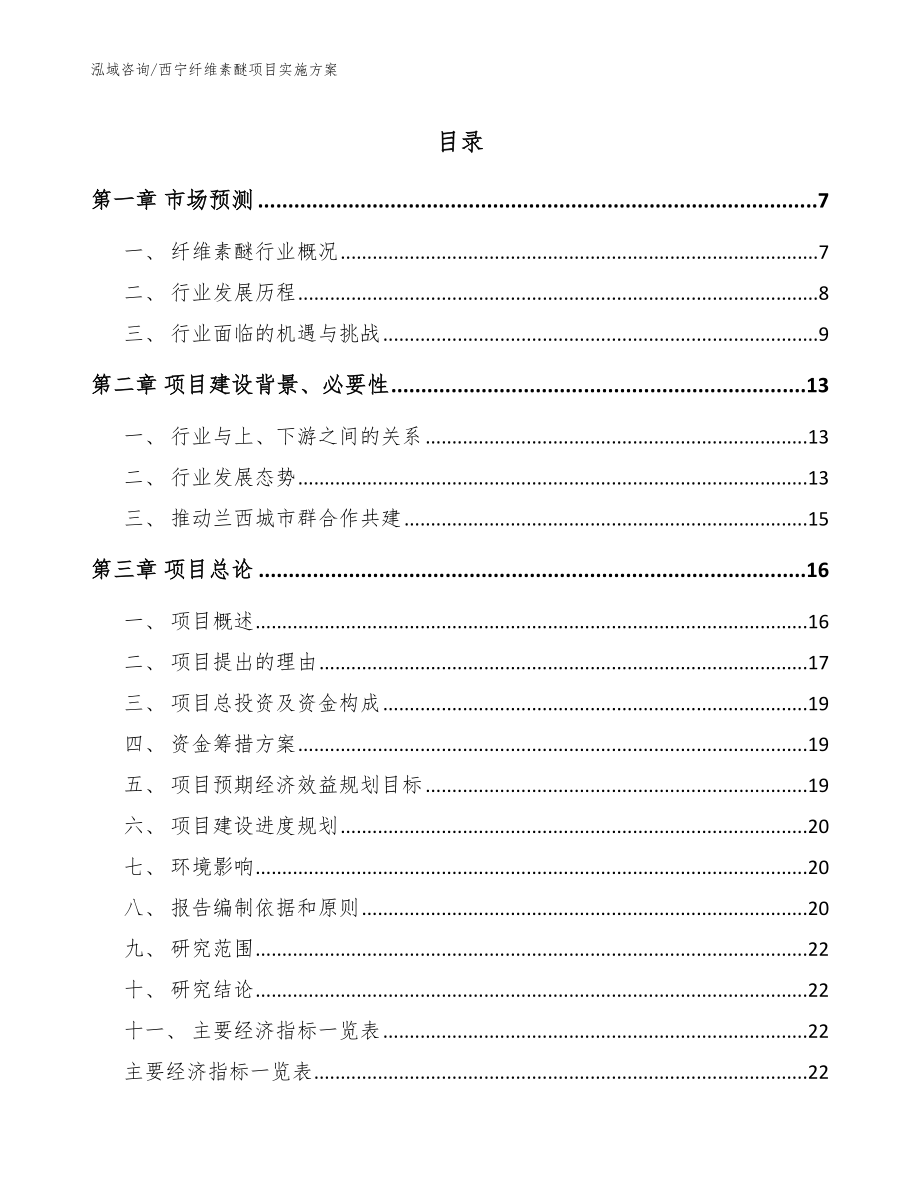 西宁纤维素醚项目实施方案【模板参考】_第1页