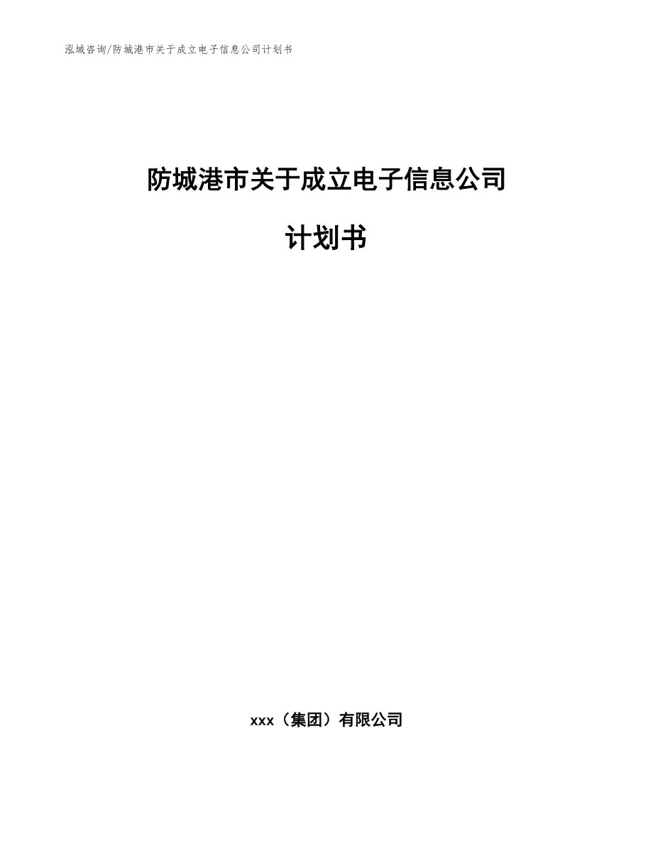 防城港市关于成立电子信息公司计划书_第1页