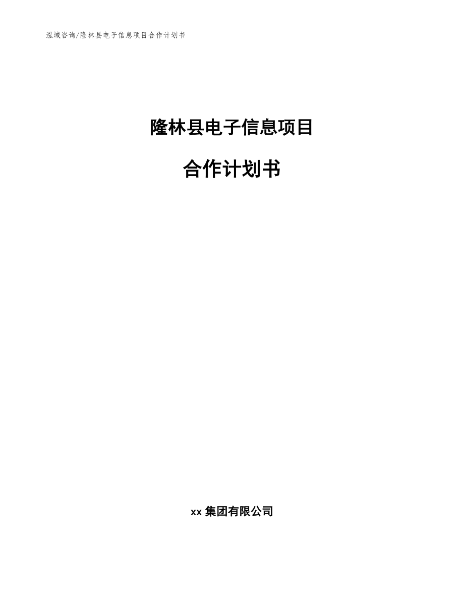 隆林县电子信息项目合作计划书（范文）_第1页