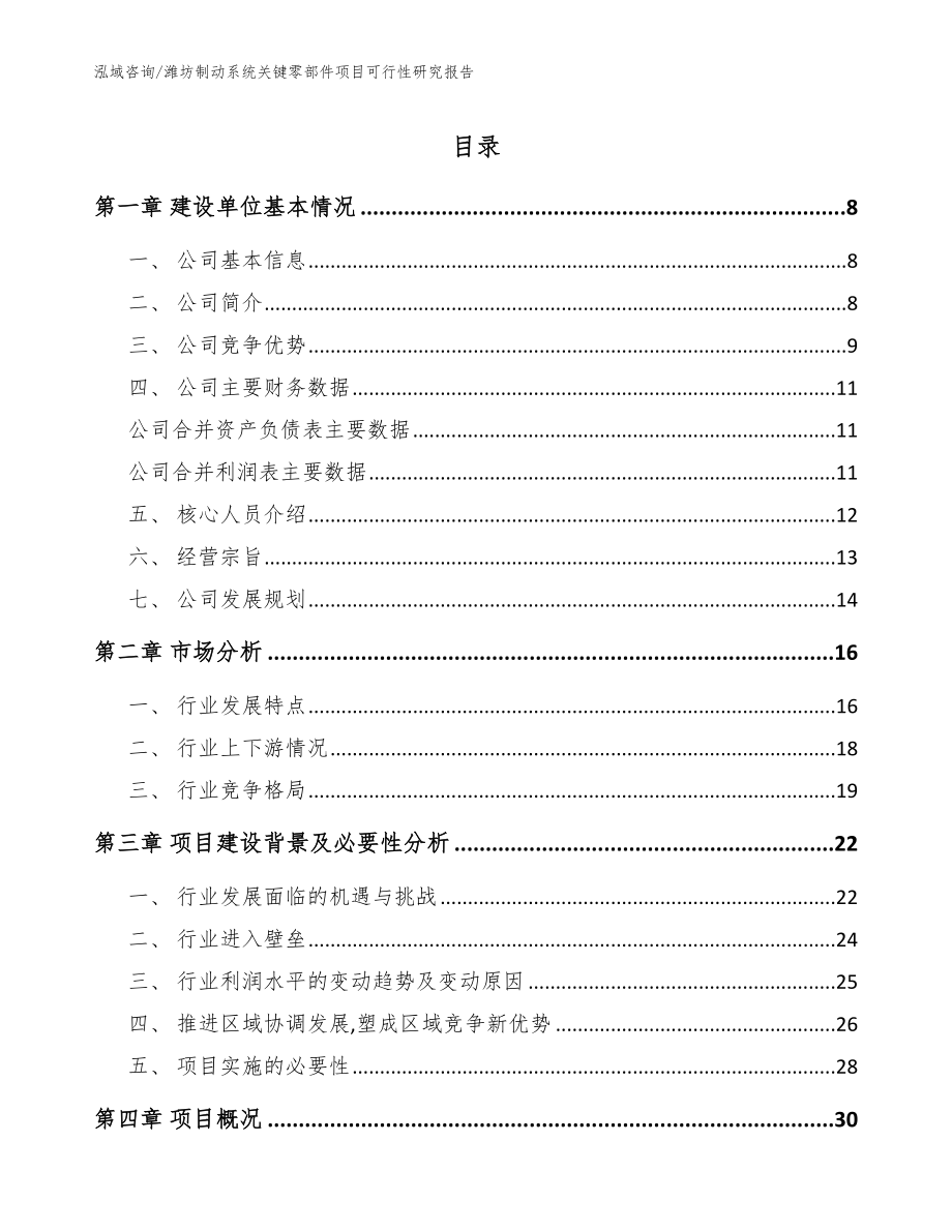 潍坊制动系统关键零部件项目可行性研究报告（模板参考）_第1页