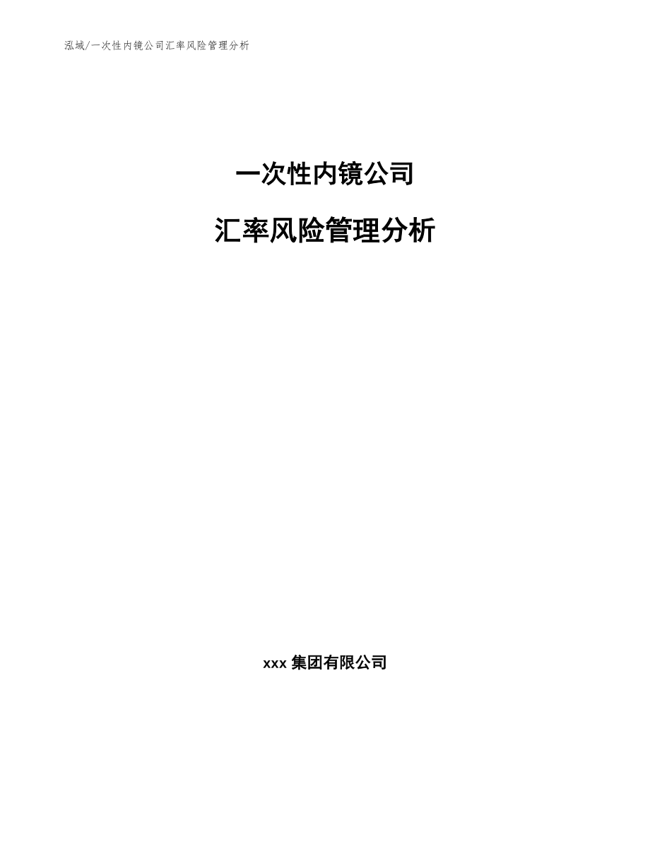 一次性内镜公司汇率风险管理分析_第1页