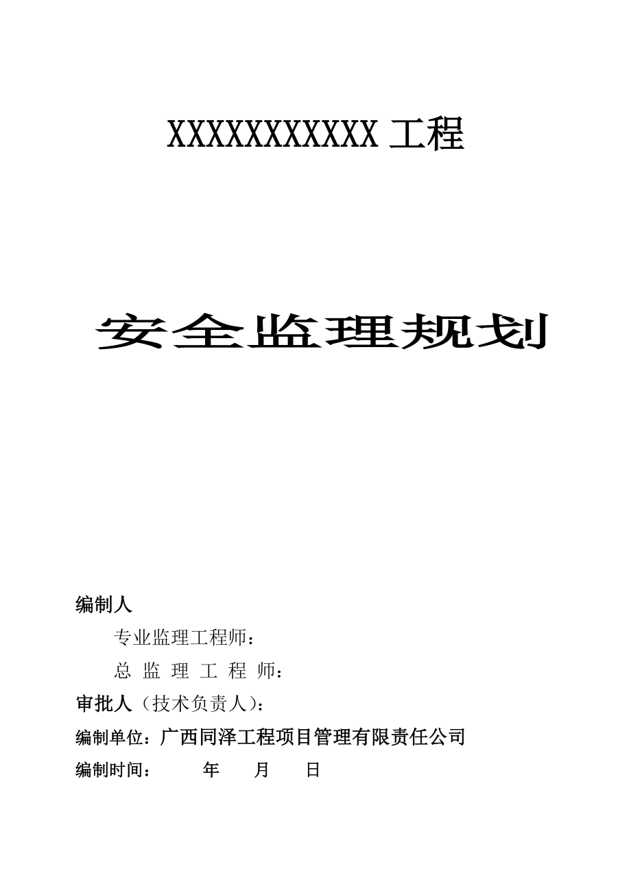 公司安全监理重点规划标准细则_第1页