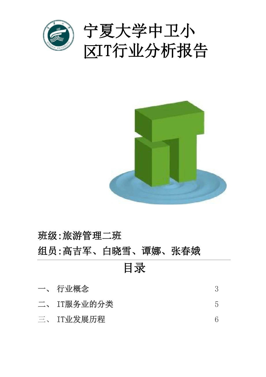 IT行业分析报告_第1页