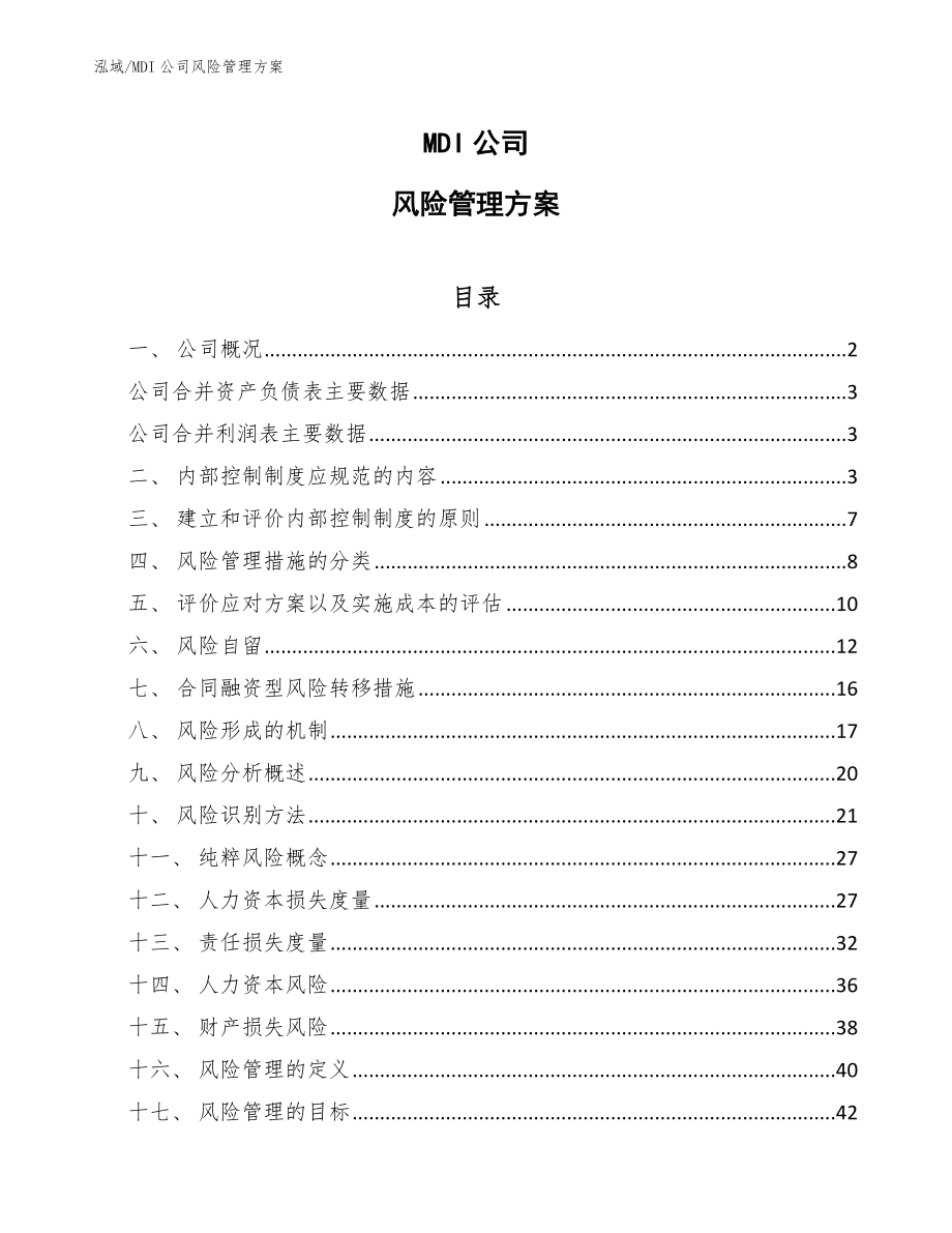 MDI公司风险管理方案（参考）_第1页